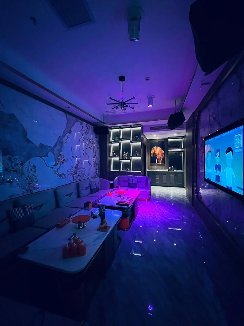 宁波商务ktv单人体验-江北区ktv预定